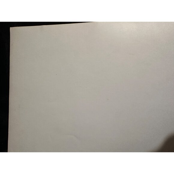 Vintage 1961 Susan Slade Movie Still Connie Stevens Troy Donahue Horse Photo - Picture 10 of 13